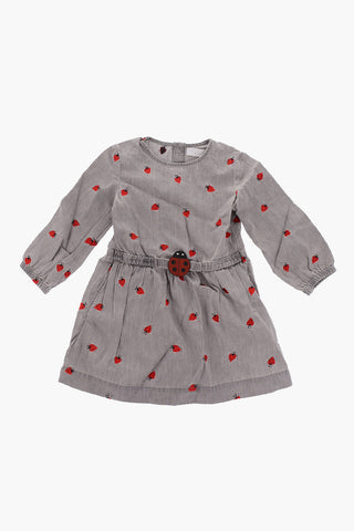 embroidered long sleeve dress