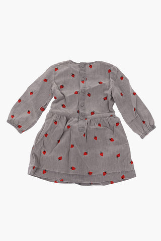 embroidered long sleeve dress