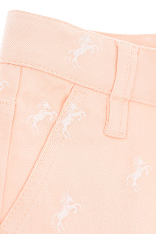 embroidered stretch denim shorts