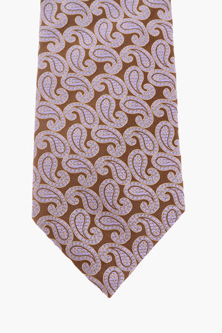 Embroidered Paisley Silk Traditional Tie 