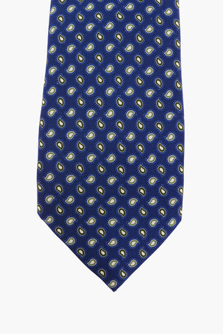 Paisley Printed Silk New Standard Tie