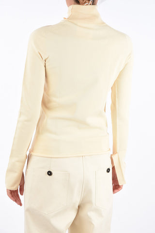 Unstructured Sleeve Skinny Fit Turtle-Neck Sweater