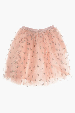 Tulle Skirt with Glitter