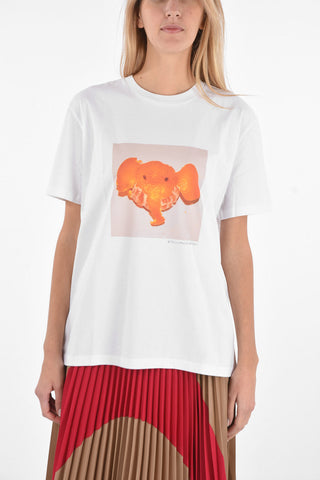 T-shirt ELEPHANT TANGERINE in Cotone Sostenibile