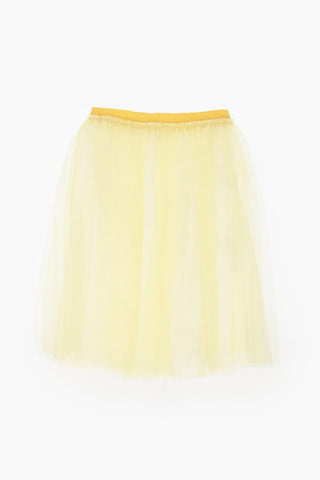 Tulle Skirt