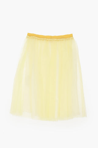 Tulle Skirt