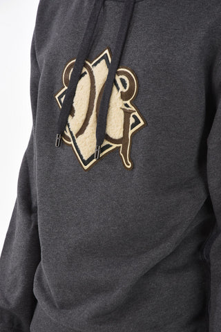 Brushed Hoodie with Embroidered Logo with Application