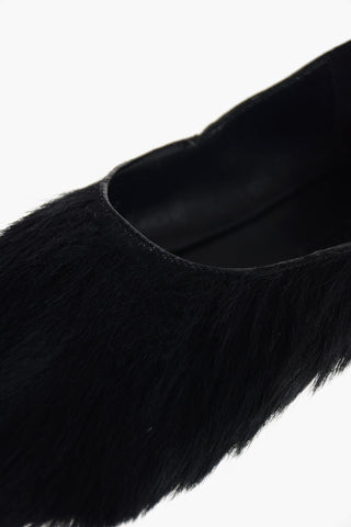 Ballerine in Cavallino