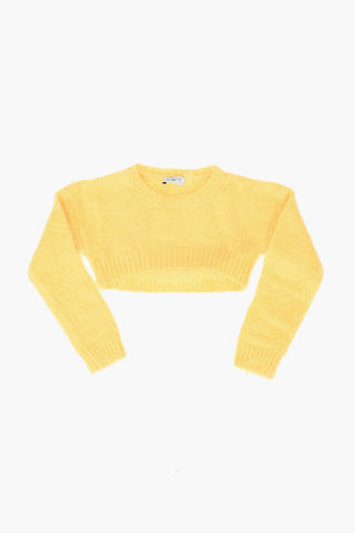 Crewneck Crop Sweater