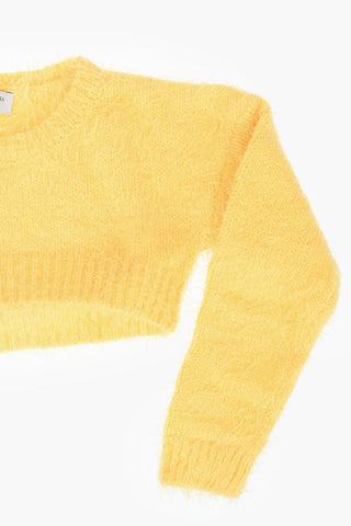 Crewneck Crop Sweater