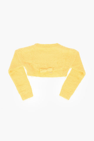 Crewneck Crop Sweater