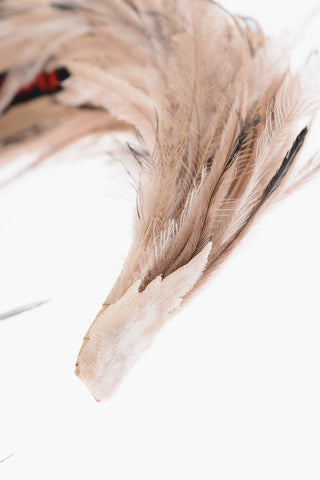 silk AGAVE hairband with feathers