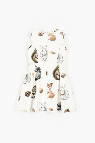Sleeveless Printed Dress