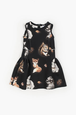 Sleeveless Printed Dress