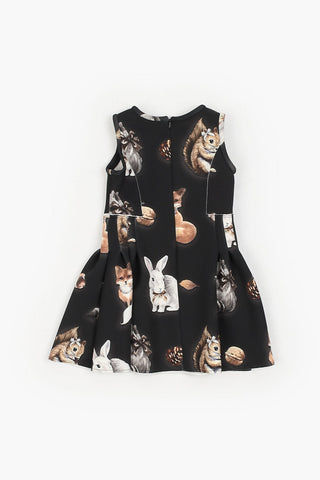 Sleeveless Printed Dress