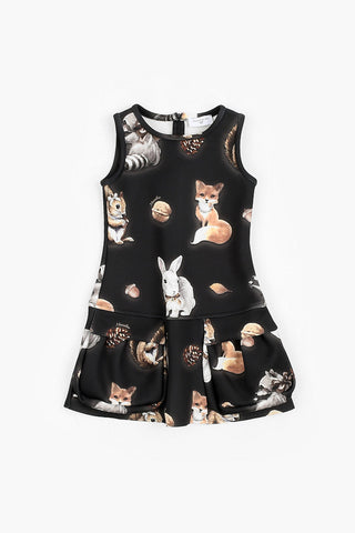 Sleeveless Printed Dress