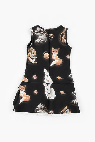 Sleeveless Printed Dress