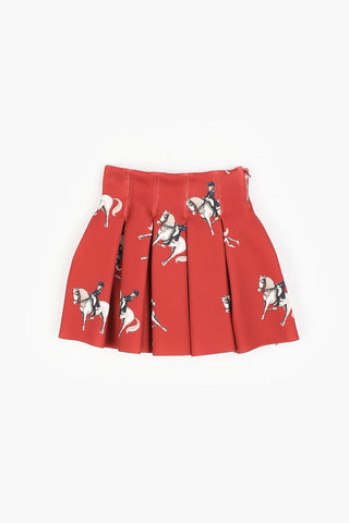 Pleated Printed Skirt