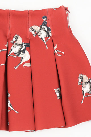 Pleated Printed Skirt