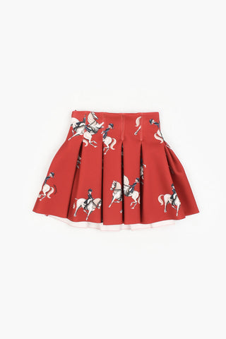 Pleated Printed Skirt