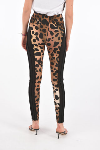 Animal printed pants with sheer side band