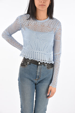 Long-sleeved Openwork Crop Top