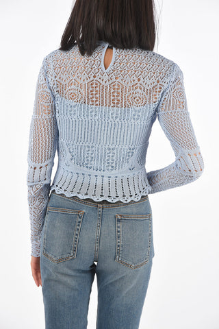Long-sleeved Openwork Crop Top