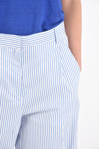 Awning Striped Double-pleated Culottes