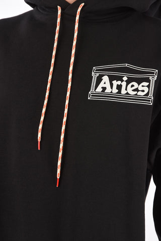 hooded TEMPLE sweatshirt