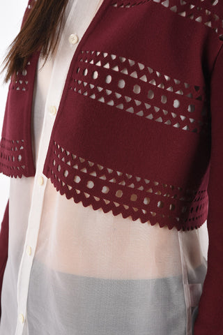 Openwork Design Cropped Cardigan
