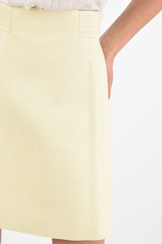 Croco Printed Leather Flared Miniskirt