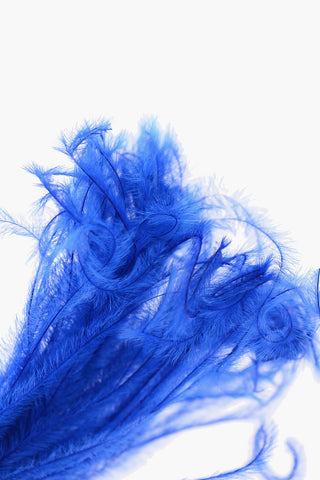 Metal clip with osterich feathers
