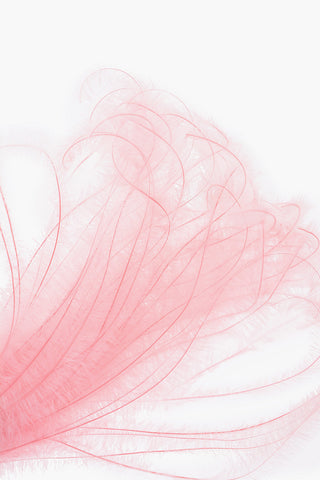 Metal clip with osterich feathers