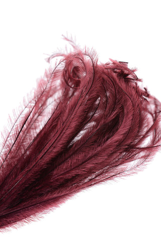 Metal clip with osterich feathers