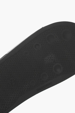 solid color slides with print
