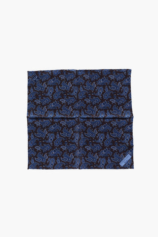 paisley patterned Silk pocket handkerchief