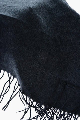 two-tone silk scarf with fringes