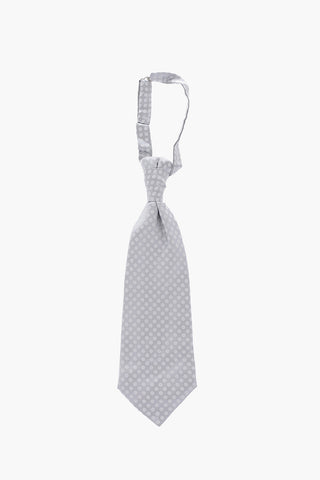 CC COLLECTION Polka Dots Silk Tie