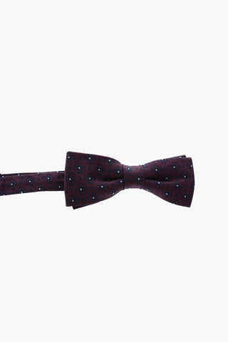 CC COLLECTION Papillon in seta e cotone a fantasia