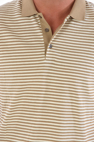 CC COLLECTION Polo in Cotone a Righe Awning