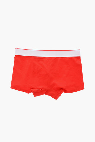 solid color set 3 Boxer