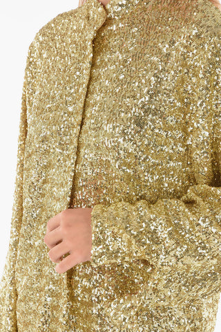 Sequined Maxi Blouse with Leg Of Mutton Sleeve