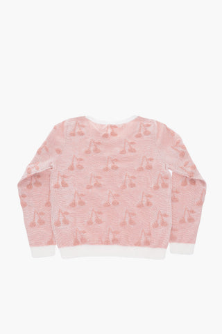 Embroidered Crew-neck Sweater