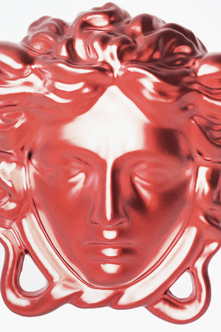 Plastic Medusa Puzzle