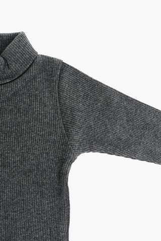 Ribbed Turtleneck Body