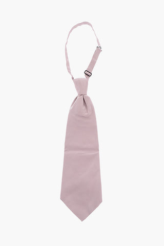 Cravatta Ascot in Seta