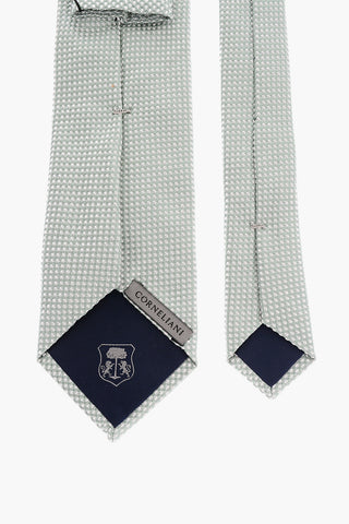 Shiny Silk Tie
