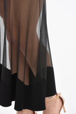 Skirt with Sheer Detail
