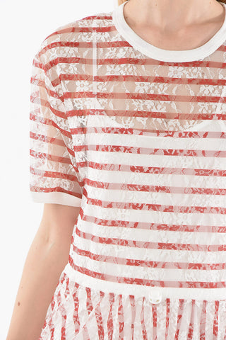 Striped Short Sleeved Lace Dress