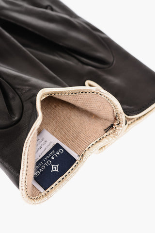 Leather Gloves with Golden Contrasting Details